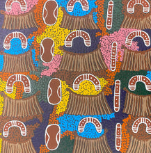 Load image into Gallery viewer, &quot;Wirripakuna Jukurrpa&quot; Alice Granites Napanangka 30cm x 30cm
