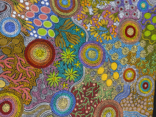 Load image into Gallery viewer, &quot;Budgerigar &amp; Bush Tucker&quot; Julieanne Nungurrayi Turner 194cm x 89cm
