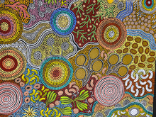 Load image into Gallery viewer, &quot;Budgerigar &amp; Bush Tucker&quot; Julieanne Nungurrayi Turner 194cm x 89cm
