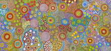 Load image into Gallery viewer, &quot;Budgerigar &amp; Bush Tucker&quot; Julieanne Nungurrayi Turner 194cm x 89cm
