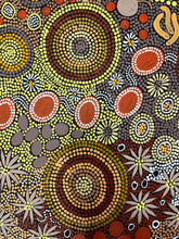 Load image into Gallery viewer, &quot;Budgerigar &amp; Bush Tucker&quot; Julieanne Nungurrayi Turner 202cm x 90cm
