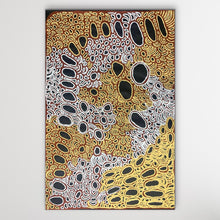 Load image into Gallery viewer, &quot;My Country &quot; Tjawina Porter Nampitjinpa 95cm x 143cm
