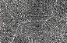 Load image into Gallery viewer, &quot;Bush Onion&quot; Nancy Martin Napangarti 119cm x 79cm
