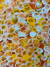 Load image into Gallery viewer, &quot;Bush Plums&quot; Bessie Pitjara 153cm x 94cm
