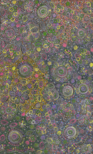Load image into Gallery viewer, Aboriginal painting Belinda Golder Kngwarreye 154cm x 94cm My Country displayed on white wall featuring flowers, seeds and bush tuckers from Utopia full images lots of colour
