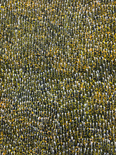 Load image into Gallery viewer, "My Country" by Roseanne Morton - alternate view, original Aboriginal painting, 95cm x 50cm
