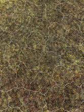 Load image into Gallery viewer, Roseanne Morton Petyarre with original painting "Bush Plum" - Aboriginal artist
