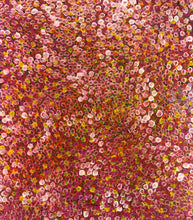 Load image into Gallery viewer, "Bush Plum" Stephen Pitjara 91cm x 81cm
