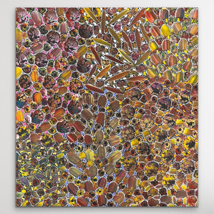 "Yam Dreaming" Rachael Nambula 95cm x 89cm
