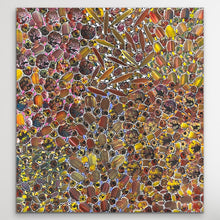 Load image into Gallery viewer, medium aboriginal painting "Yam Dreaming" Rachael Nambula 95cm x 89cm
