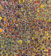 Load image into Gallery viewer, "Yam Dreaming" Rachael Nambula 95cm x 89cm buy utopian Indigenous artwork from Adelaide gallery
