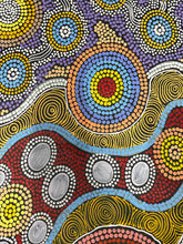 Load image into Gallery viewer, Yellow circle detail from Budgerigar Story &amp; Bush Tucker Aboriginal artwork highlighting intricate dotting and symbolism
