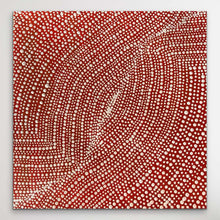 Load image into Gallery viewer, &quot;Bush Onion&quot; Tansy Martin 30cm x 30cm
