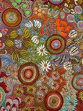 Load image into Gallery viewer, &quot;Budgerigar Dreaming and Bush Tucker story&quot; Julieanne Nungurrayi Turner 200cm x 131cm
