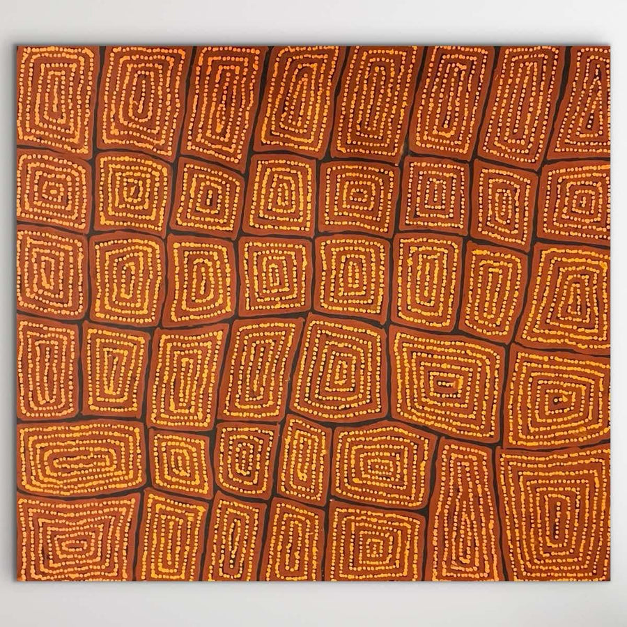 "Tingari" by Thomas Tjapaltjarri 95m x 85cm - detail view of Aboriginal painting