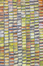 Load image into Gallery viewer, &quot;Bush Medicine Trees&quot; Bernadine Johnson Kemarre 60cm x 41cm

