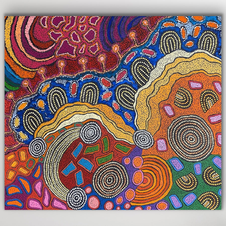 colour damien yilpi paintings