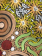 Load image into Gallery viewer, Colorful aboriginat design with patterns resembling nature elements on a black background
