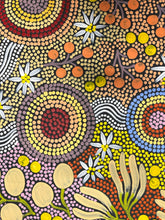 Load image into Gallery viewer, Julieanne Nungurrayi Turner with original painting "Budgerigar Dreaming" - Aboriginal artist
