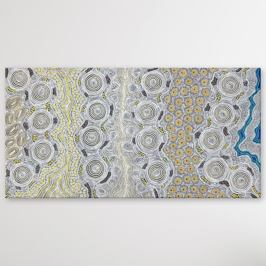 "Budgerigar Dreaming" Gwenda Turner Nungurrayi 200cm x 102cm painting displayed on a wall