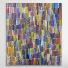 Load image into Gallery viewer, Colorful Yam Dreaming acrylic painting with red, orange, yellow, green, blue, purple and brown displayed on white wall
