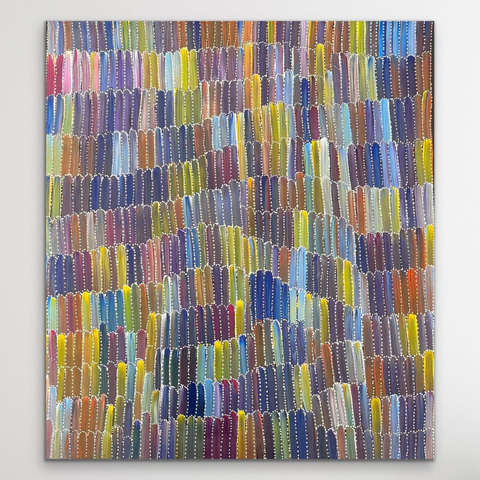 Colorful Yam Dreaming acrylic painting with red, orange, yellow, green, blue, purple and brown displayed on white wall