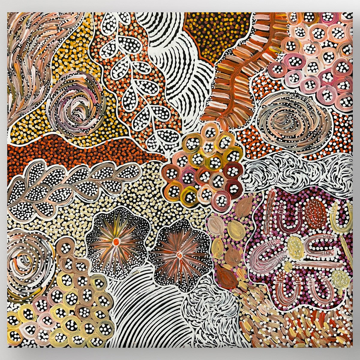 "My Country (Utopia)" Janet Golder Kngwarreye 67cm x 65cm