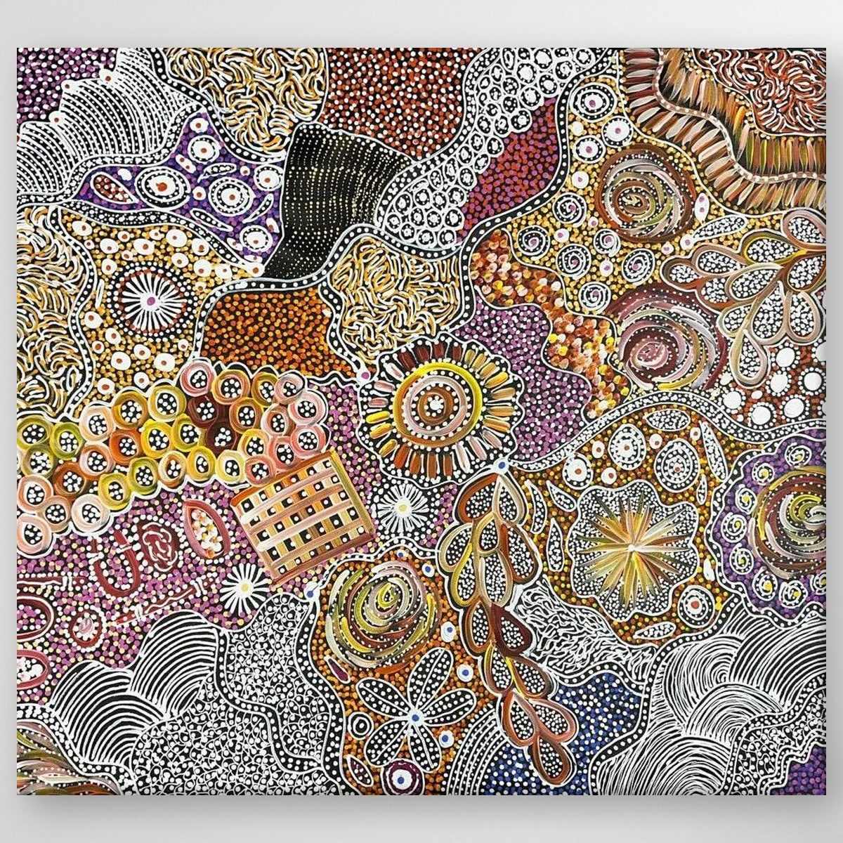 "My Country (Utopia)" original Aboriginal painting by Janet Golder Kngwarreye, 97cm x 86cm - authentic Indigenous Australian artwork