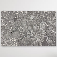 Load image into Gallery viewer, "Budgerigar Dreaming Story &amp; Bush Tucker" original Aboriginal painting by Julieanne Turner Nungurrayi, 171cm x 110cm - authentic Indigenous Australian artwork
