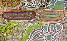 Load image into Gallery viewer, "Budgerigar Dreaming" by Julieanne Turner Nungurrayi - detail view of Aboriginal painting, 80cm x 50cm

