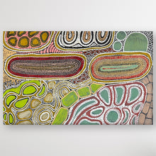 Load image into Gallery viewer, "Budgerigar Dreaming" original Aboriginal painting by Julieanne Turner Nungurrayi, 80cm x 50cm - authentic Indigenous Australian artwork
