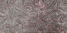 Load image into Gallery viewer, "My Country" Aboriginal art by Maureen Nampijinpa Hudson - close-up detail, 147cm x 73cm
