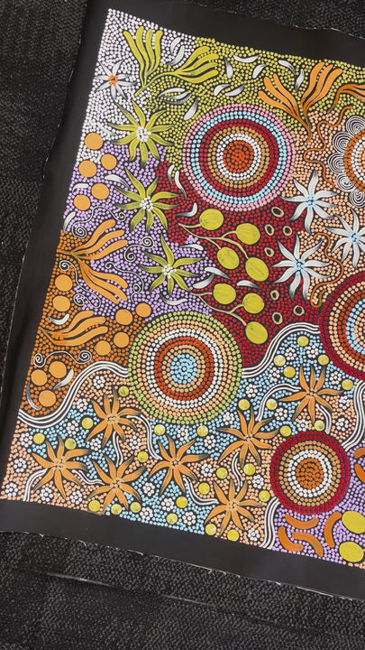 Video Authentic Yuelamu Budgerigar Dreaming Aboriginal Painting Cultural Artwork 149cm x 79cm Julieanne Nungurrayi Turner