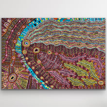 Load image into Gallery viewer, Rainbow Snake and Waterhole Aboriginal painting by Debra Umala 147cm x 101cm

