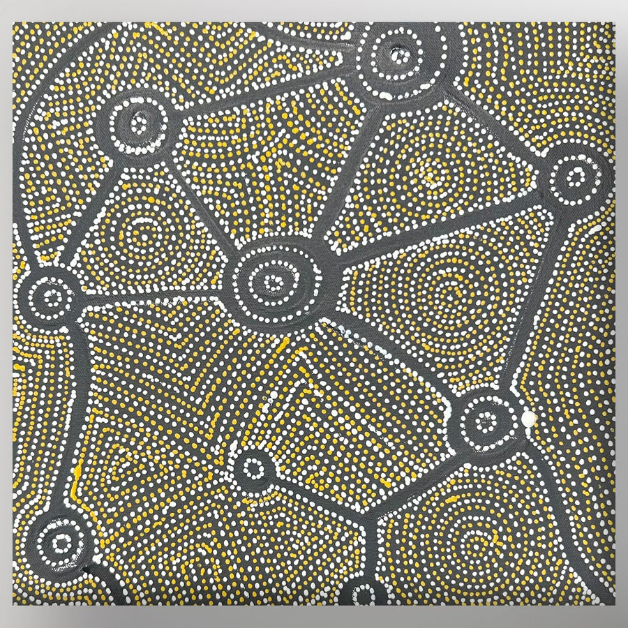 "Seven Sisters Dreaming" Shanna Napanangka Williams 31cm x 30cm painting displayed on a wall