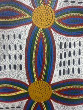 Load image into Gallery viewer, &quot;Snake Vines and Bush mushrooms&quot; Alice Granites Napanangka 40cm x 121cm
