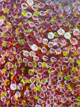 Load image into Gallery viewer, &quot;Bush Plum&quot; Stephen Martin Pitjara 91cm x 81cm
