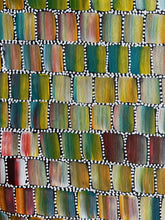 Load image into Gallery viewer, &quot;Bush Medicine Trees&quot; Bernadine Johnson Kemarre 197cm x 73cm
