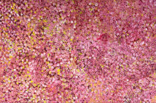 Load image into Gallery viewer, &quot;Bush Plum&quot; Polly Ngale 149cm x 99cm
